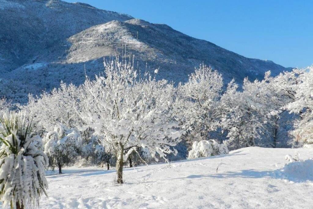 2P Au Coeur Des Montagnes Avec Piscine Chauffee Lägenhet Puget-Théniers Exteriör bild